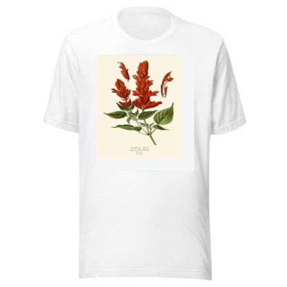 Scarlet Sage by Edward Step T-Shirt
