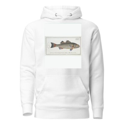 Sciaena diacantha, The two-spined Umber. by Marcus Elieser Bloch Hoodie