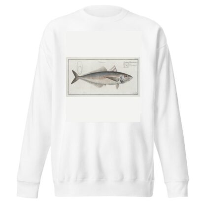 Scomber Trachurus, The Scad. by Marcus Elieser Bloch Sweatshirt