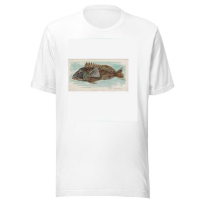 Sea Bass by Allen & Ginter T-Shirt