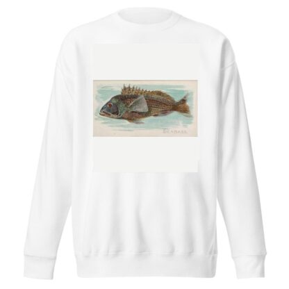 Sea Bass by Allen & Ginter Sweatshirt