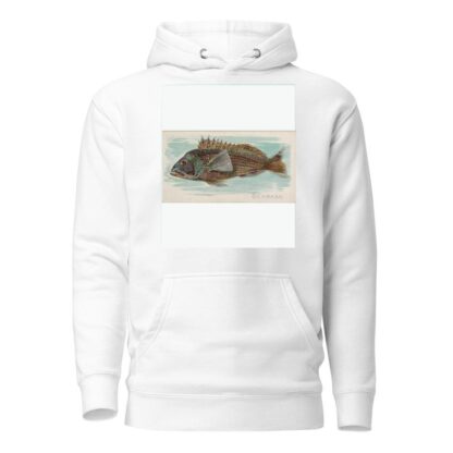 Sea Bass by Allen & Ginter Hoodie