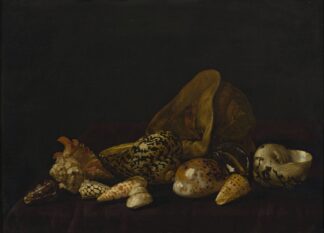 Seashells in a purple tapestry by Abraham Van Calraet