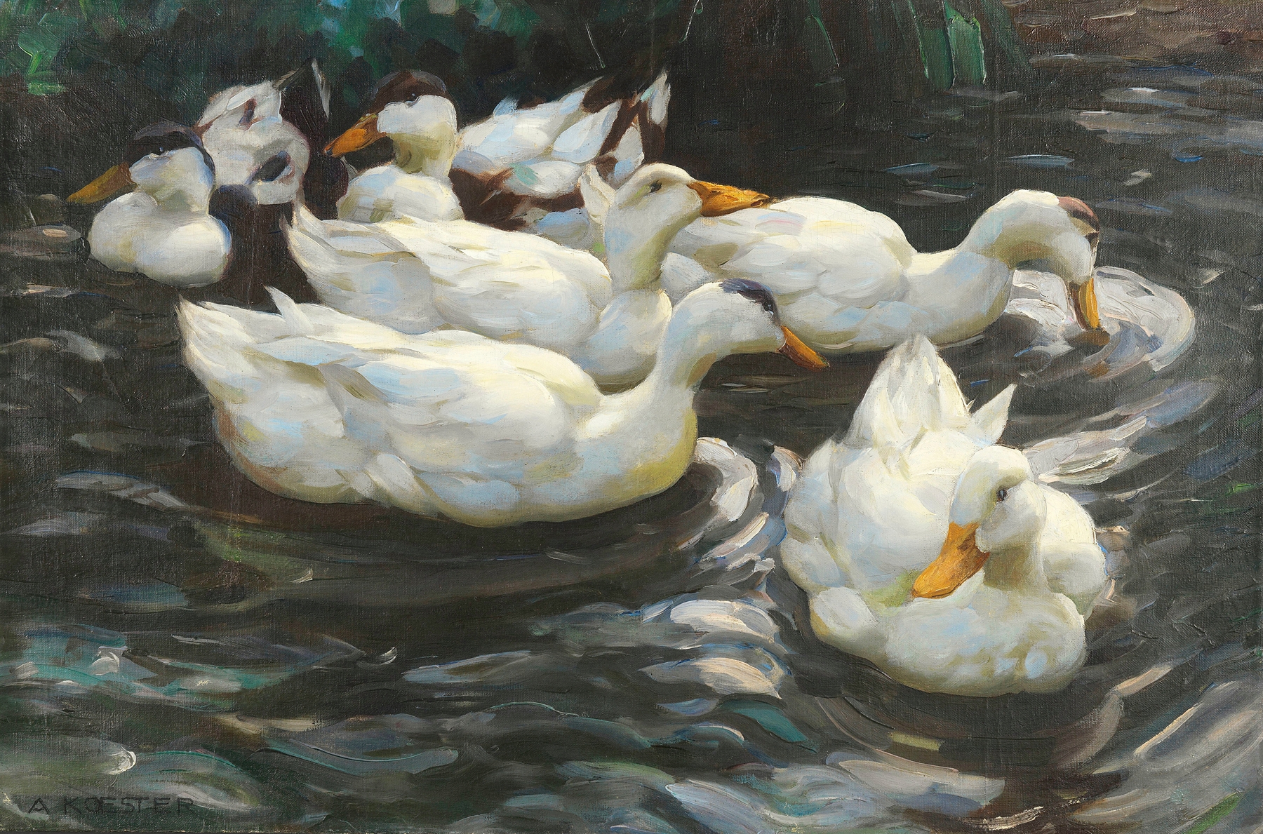 Sechs Enten im Wasser, by Alexander Koester
