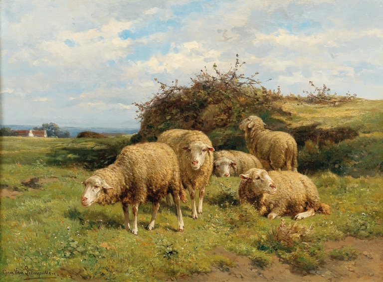 Sheep in a meadow by Cornelius van Leemputten