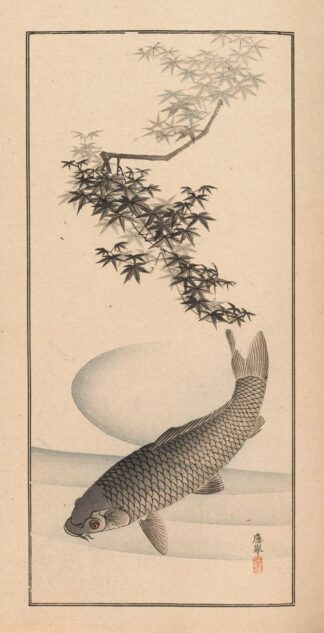 Shūbi gakan, Pl.10 by Nanbara Sakujirō