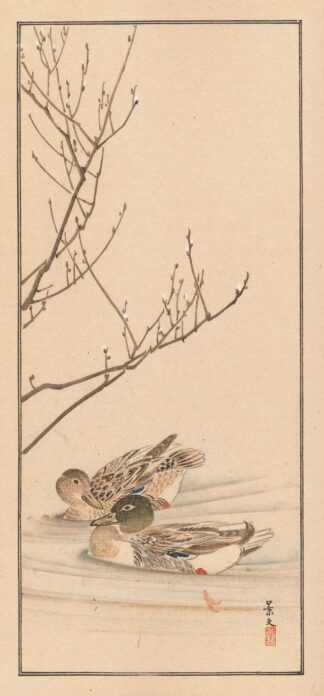 Shūbi gakan, Pl.25 by Nanbara Sakujirō