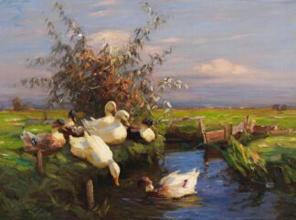 Sieben Enten am Graben by Alexander Koester