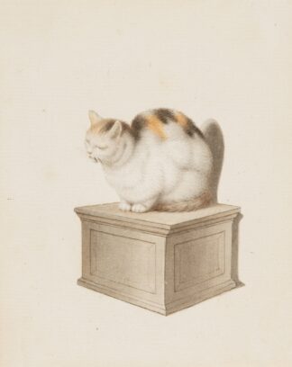 Sitzende Katze by Gottfried Mind