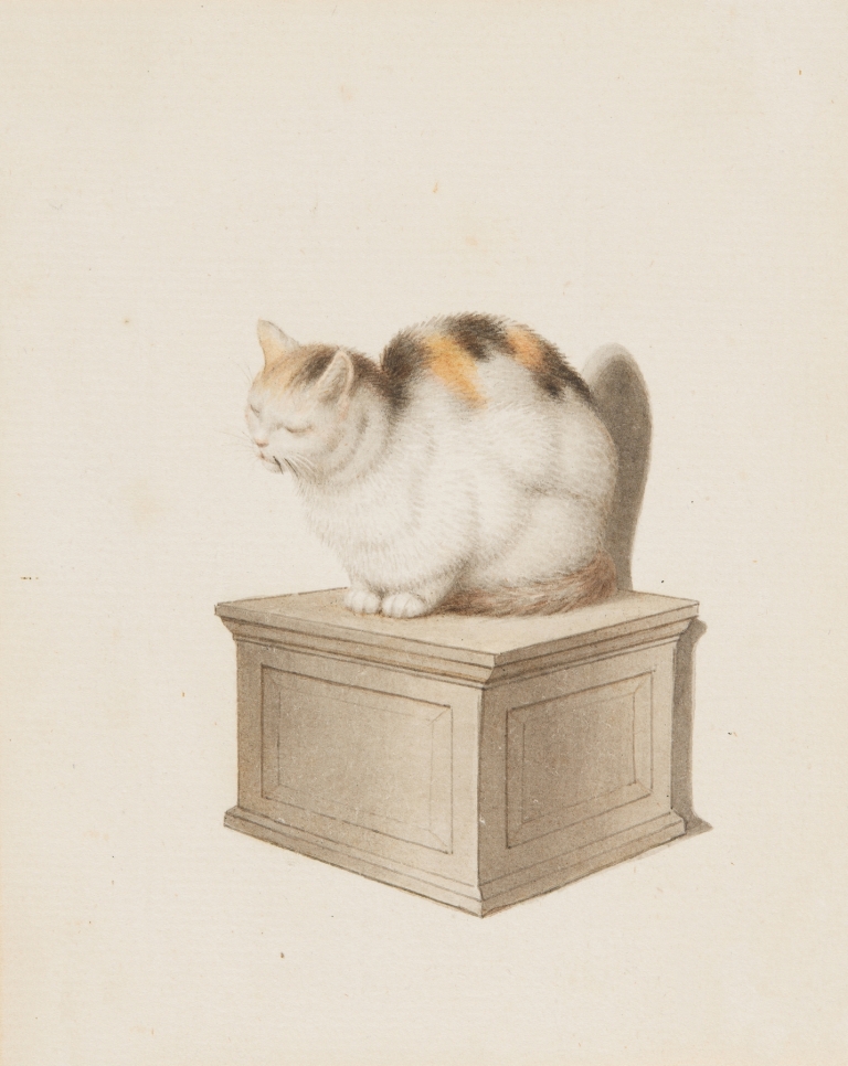 Sitzende Katze by Gottfried Mind
