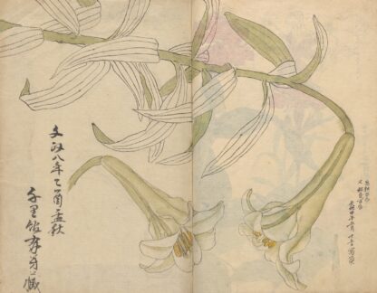Sketchbook Pl.012 by Ariyoshi Kondo
