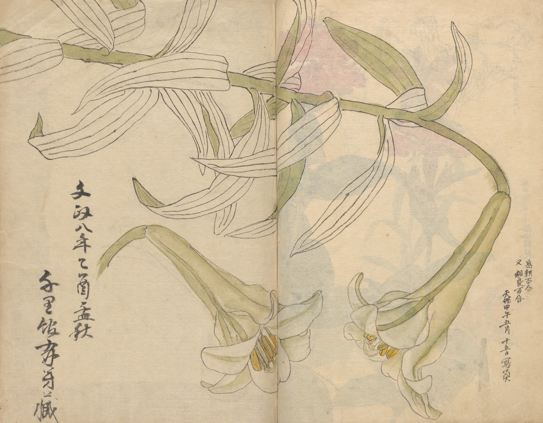Sketchbook Pl.012 by Ariyoshi Kondo