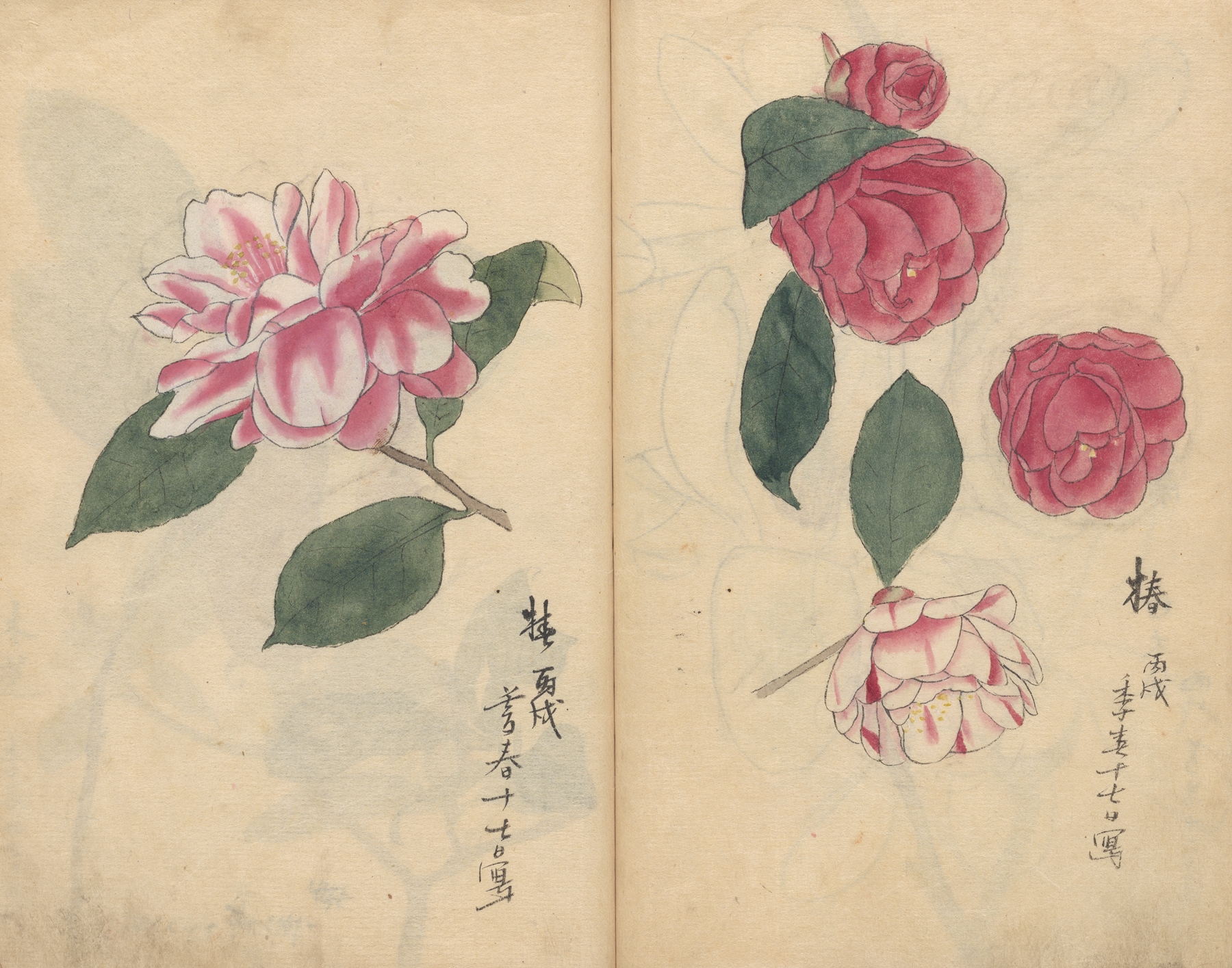 Sketchbook Pl.017 by Ariyoshi Kondo