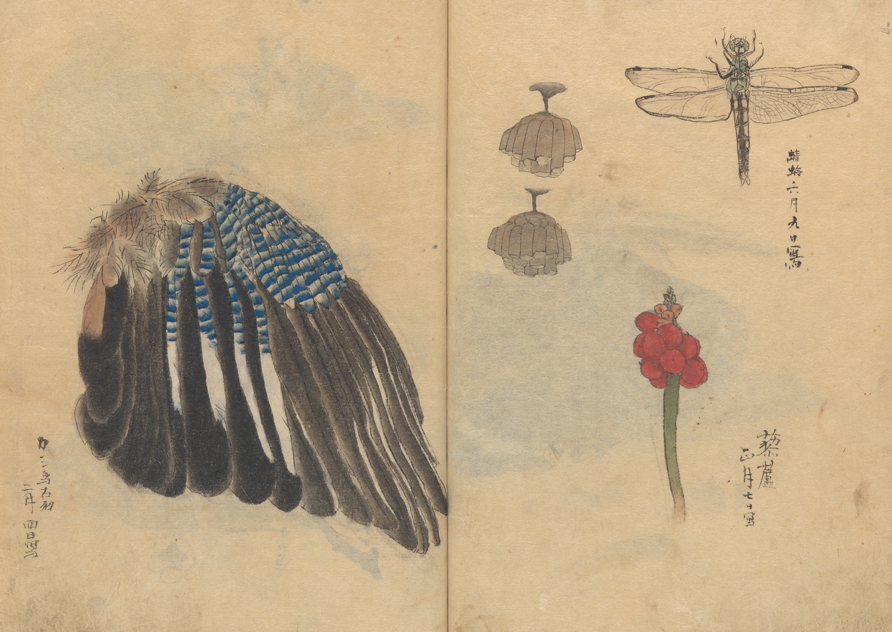 Sketchbook Pl.023 by Ariyoshi Kondo