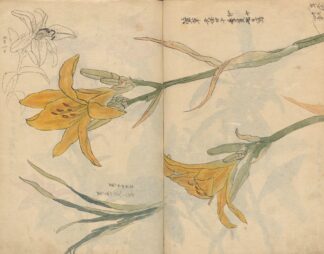 Sketchbook Pl.025 by Ariyoshi Kondo