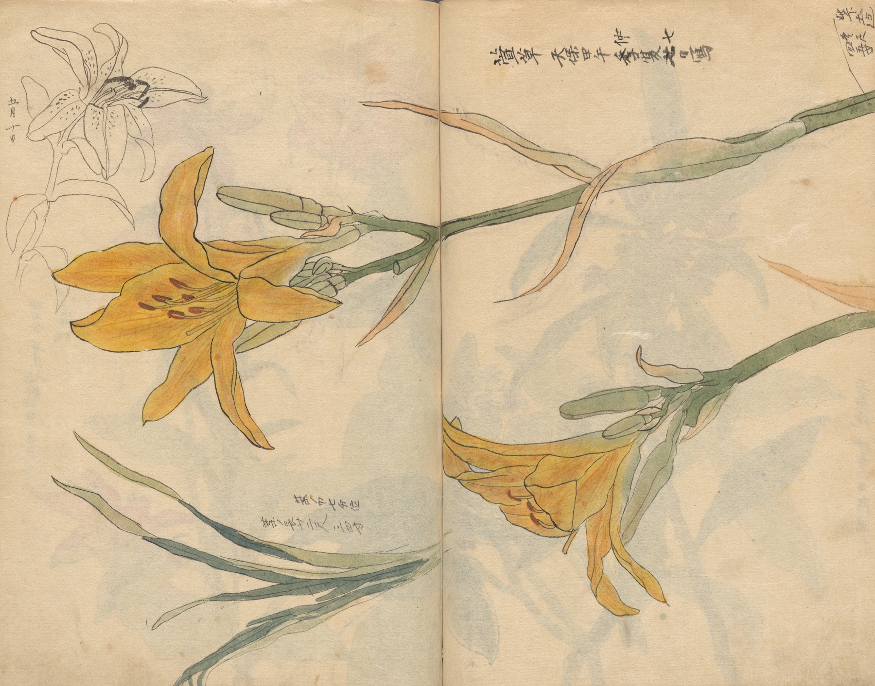 Sketchbook Pl.025 by Ariyoshi Kondo