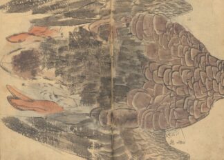 Sketchbook Pl.034 by Ariyoshi Kondo