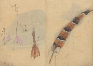 Sketchbook Pl.065 by Ariyoshi Kondo