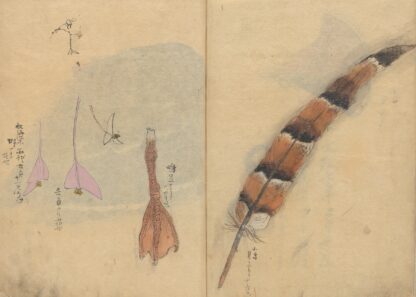 Sketchbook Pl.065 by Ariyoshi Kondo
