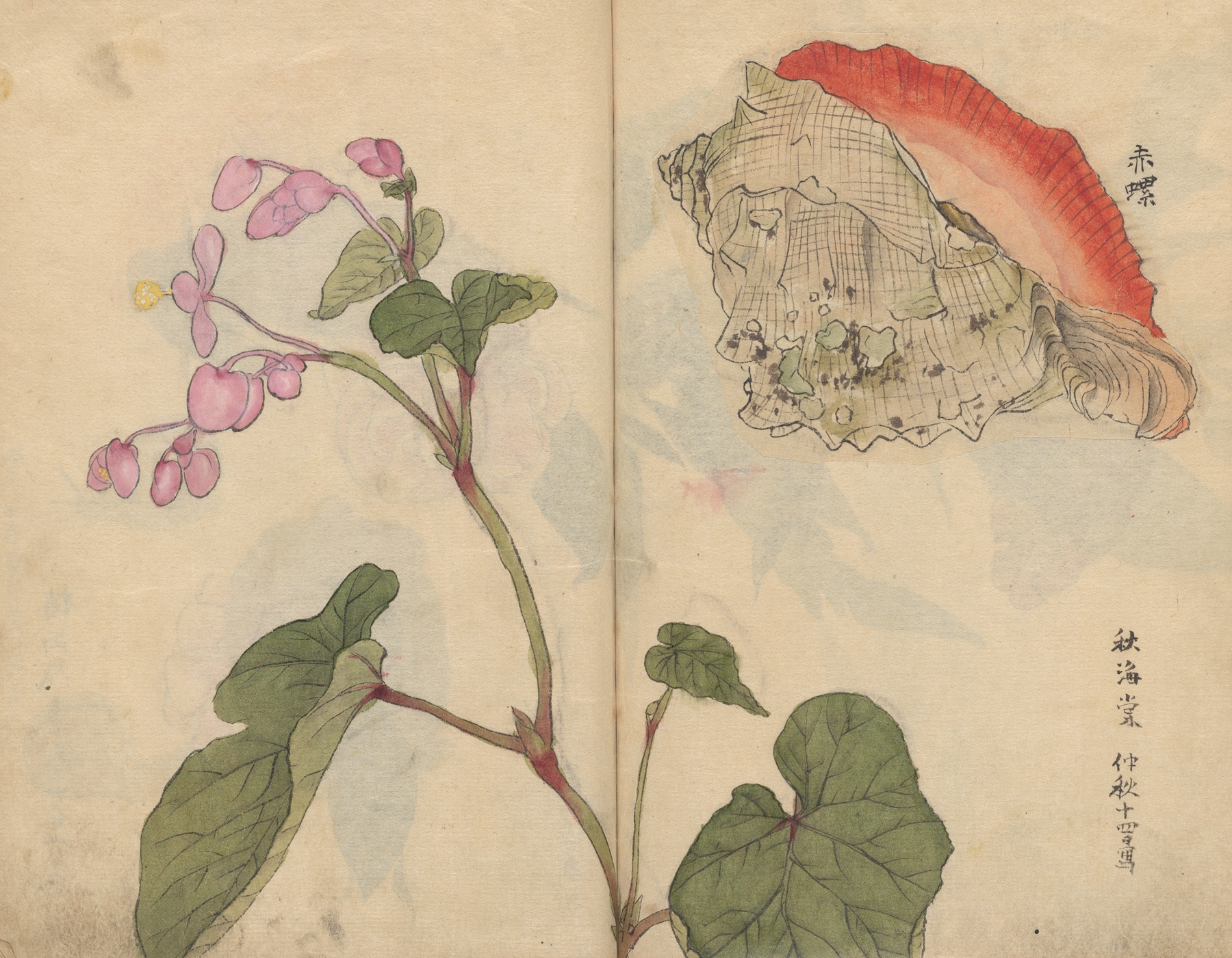 Sketchbook Pl.066 by Ariyoshi Kondo