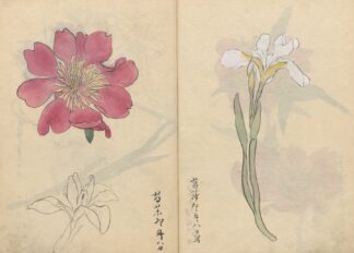 Sketchbook Pl.071 by Ariyoshi Kondo