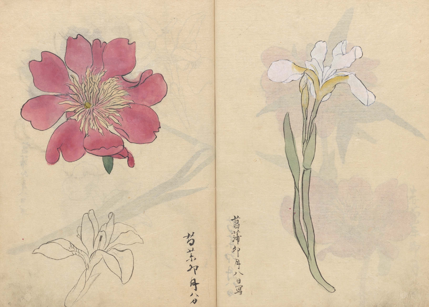 Sketchbook Pl.071 by Ariyoshi Kondo