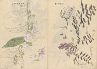Sketchbook Pl.072 by Ariyoshi Kondo