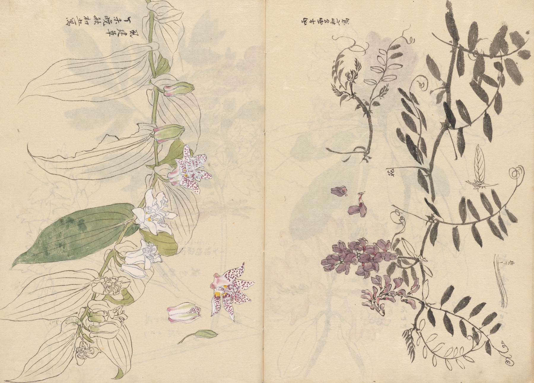 Sketchbook Pl.072 by Ariyoshi Kondo