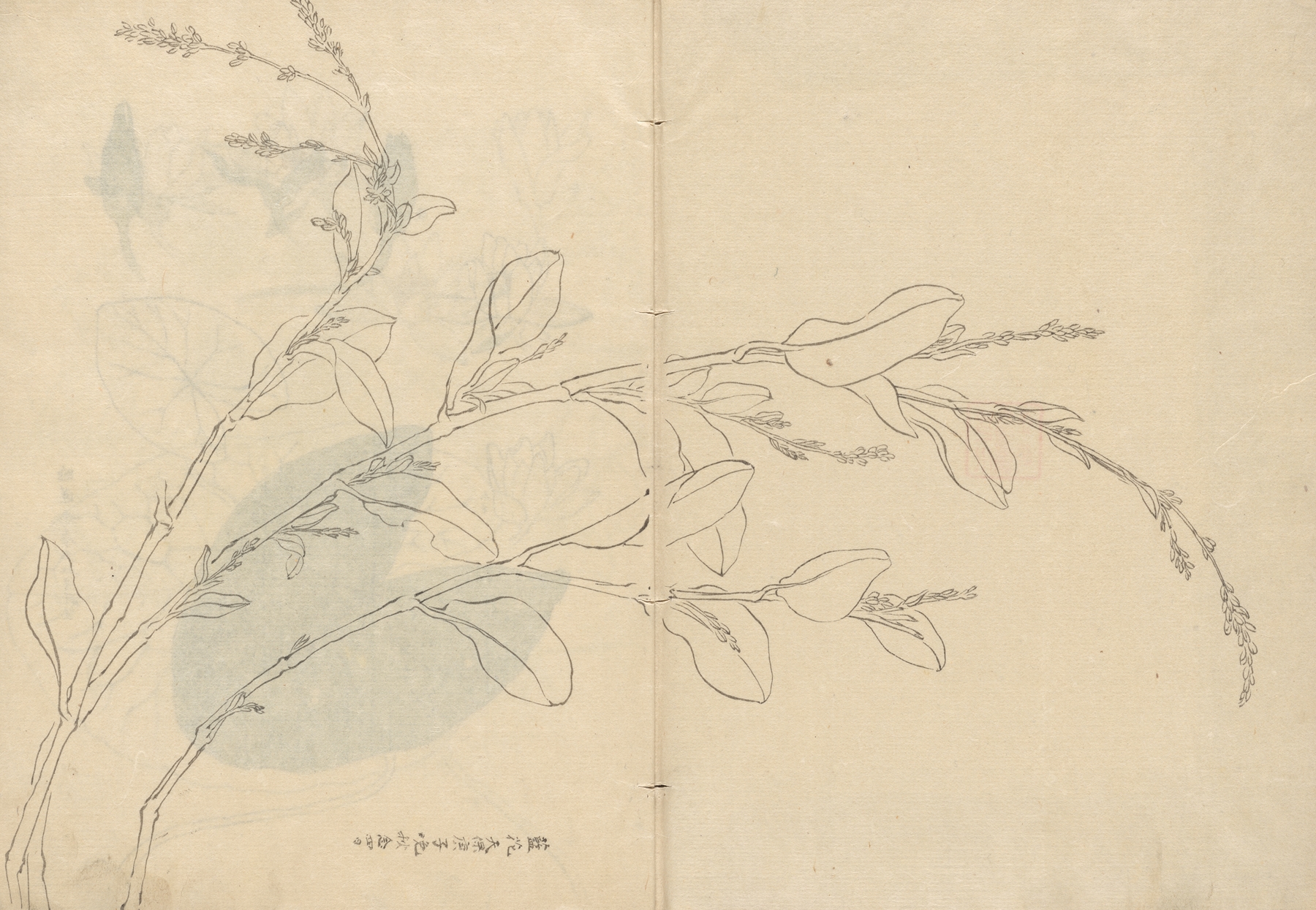 Sketchbook Pl.093 by Ariyoshi Kondo
