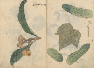 Sketchbook Pl.101 by Ariyoshi Kondo