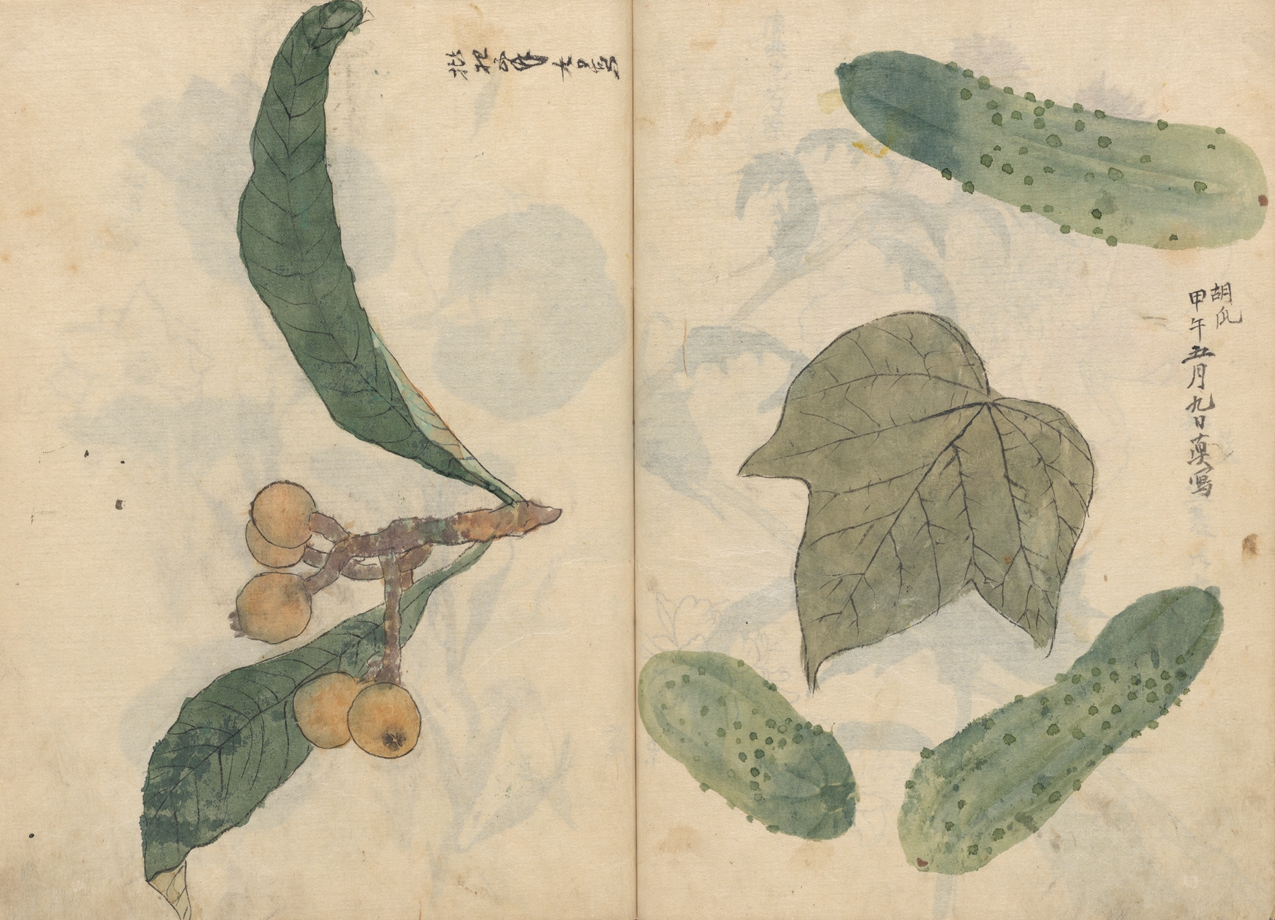 Sketchbook Pl.101 by Ariyoshi Kondo