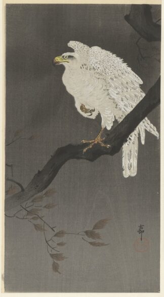 Snowy eagle on a tree branch by Ohara Koson