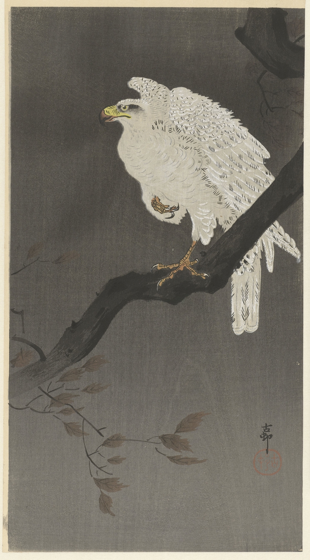 Snowy eagle on a tree branch by Ohara Koson