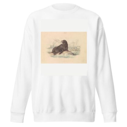 South American Sea Lion by James Stewart Sweatshirt