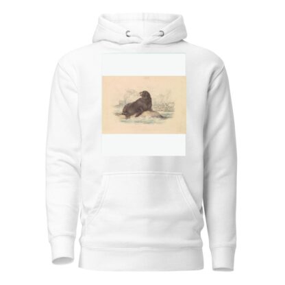 South American Sea Lion by James Stewart Hoodie