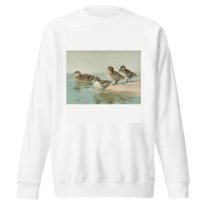 South Georgian Teal, Sharp-Winged Teal, Yellow-Billed Teal, Andean Teal by Allan Brooks Sweatshirt