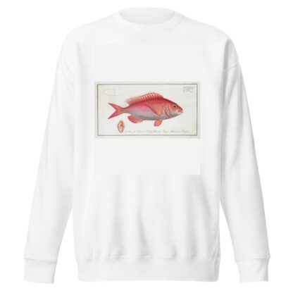 Sparus Erythrinus, The Sea-Roach [Rough]. by Marcus Elieser Bloch Sweatshirt