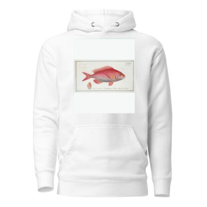 Sparus Erythrinus, The Sea-Roach [Rough]. by Marcus Elieser Bloch Hoodie
