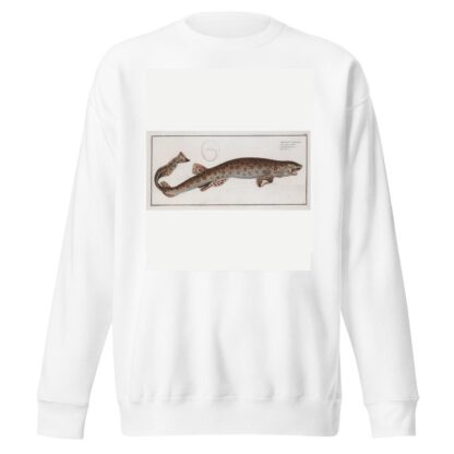 Squalus Canicula, The Bounce. by Marcus Elieser Bloch Sweatshirt