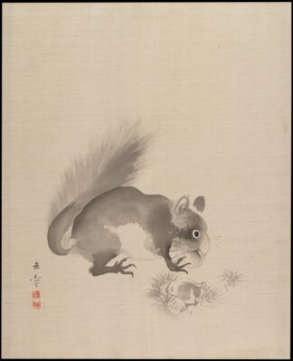 Squirrel Eating Chestnuts by Kawabata Gyokushō