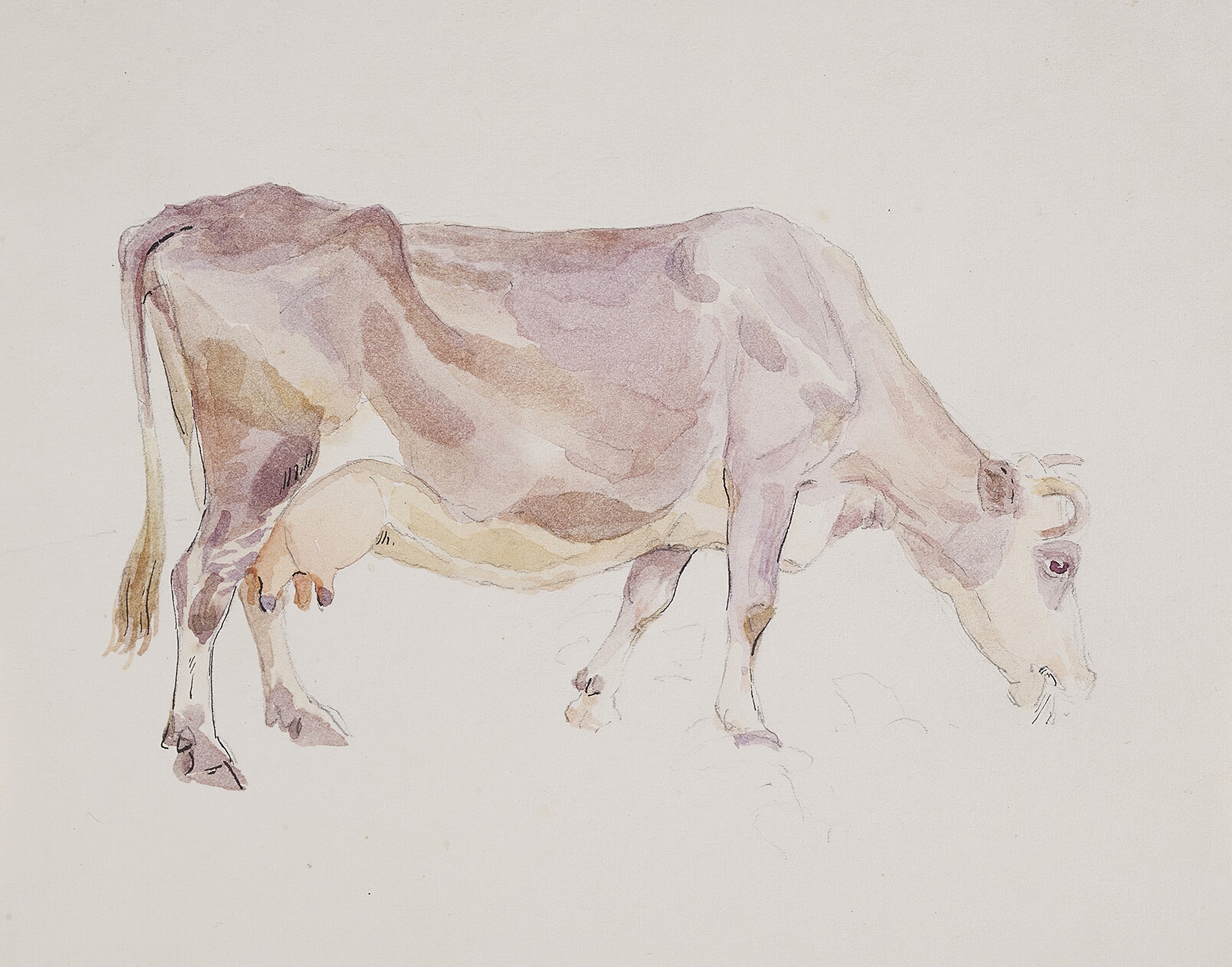 Stående ko by Agnes Lunn