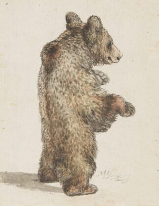 Stehender Bär by Gottfried Mind