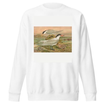 Sterna media Horsf, Sterna tschegrava Lepech by Johann Friedrich Naumann Sweatshirt