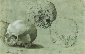 Study of Three Skulls by Anonymous