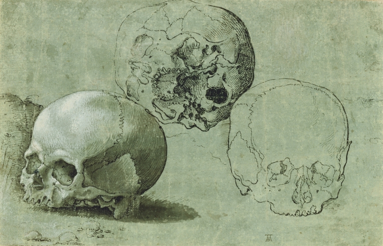 Study of Three Skulls by Anonymous