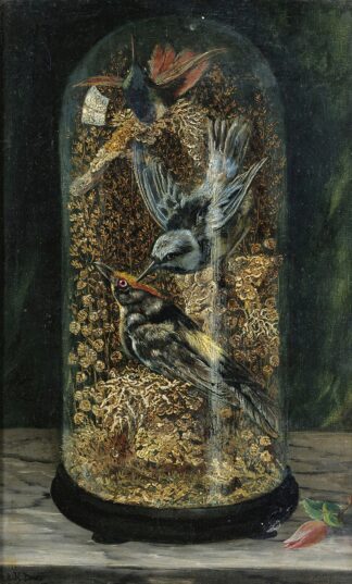 Stuffed Birds In A Dome by Arthur H. Davis