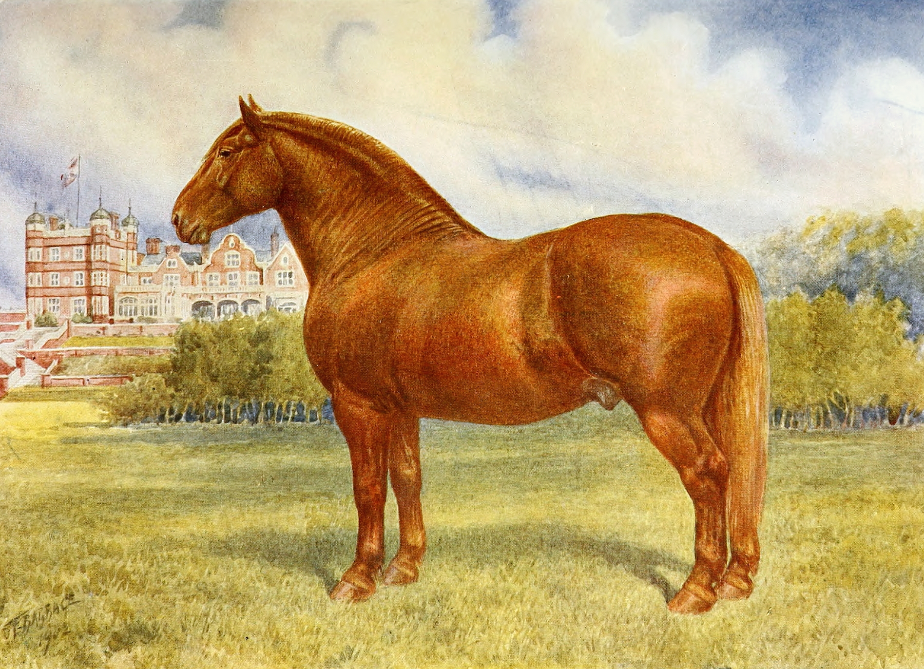Suffolk Sire, Prince Wedgewood by Frank Babbage