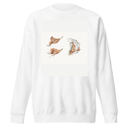 Superficial facial muscles of Echidna by Johan Erik Vesti Boas Sweatshirt