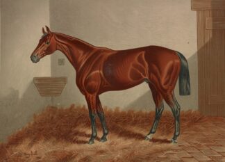Ten Broeck by Henry Stull
