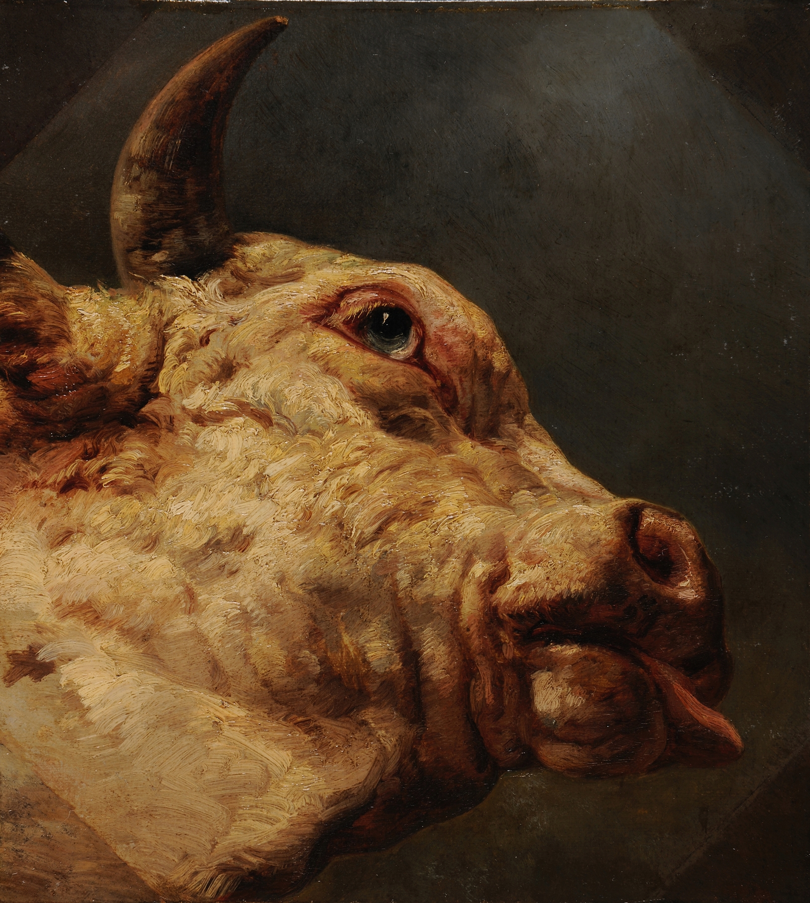 Tête de taureau by Jacques-Raymond Brascassat